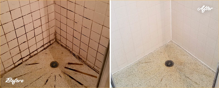 Shower Before and After a Remarkable Grout Cleaning in Palm Beach, FL